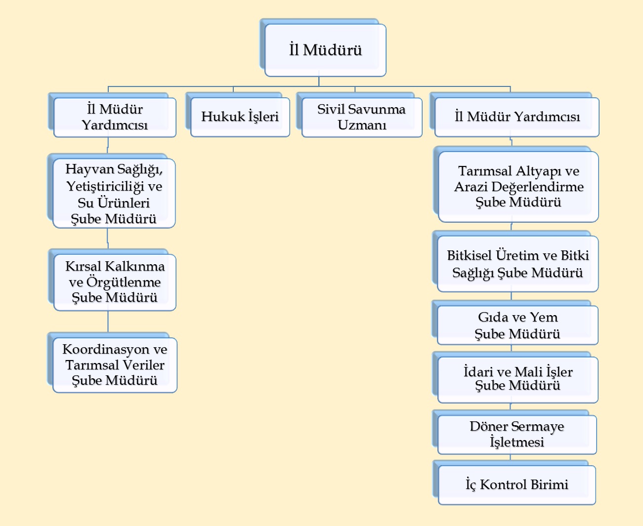 Organizasyon Şeması.jpg