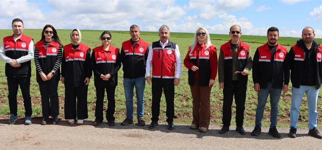 Hububat ve Nohut Alanlarında Bitki Sağlığı Sürveyi Gerçekleştirildi