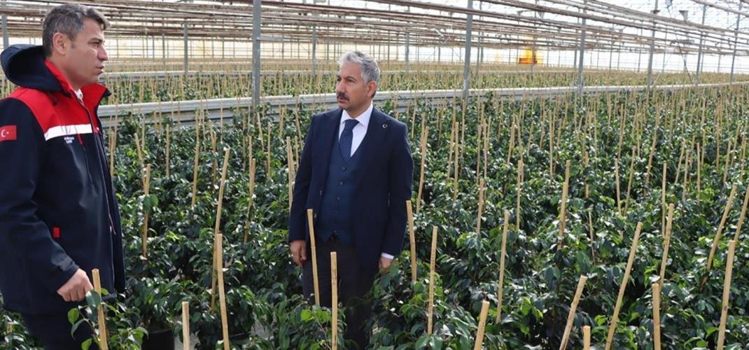 İl Müdürümüz Jeotermal Enerji Kullanan Sera İşletmesini Yerinde İnceledi.